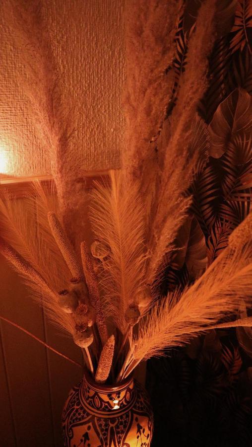 Oasis De Bornos Chambres エクステリア 写真